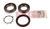 FAG 713668040 Wheel Bearing Kit