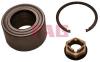 FAG 713697070 Wheel Bearing Kit