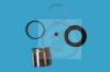 AUTOFREN SEINSA D41078C Repair Kit, brake caliper