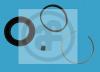 AUTOFREN SEINSA D4252 Repair Kit, brake caliper