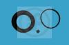 AUTOFREN SEINSA D4323 Repair Kit, brake caliper