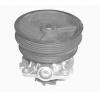 MAGNETI MARELLI 352316170303 Water Pump