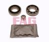 FAG 713630130 Wheel Bearing Kit