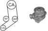 AIRTEX WPK-119401 (WPK119401) Water Pump & Timing Belt Kit