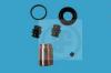 AUTOFREN SEINSA D41163C Repair Kit, brake caliper
