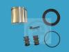AUTOFREN SEINSA D41178C Repair Kit, brake caliper
