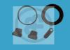 AUTOFREN SEINSA D4221 Repair Kit, brake caliper