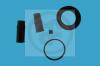 AUTOFREN SEINSA D4330 Repair Kit, brake caliper