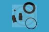AUTOFREN SEINSA D4815 Repair Kit, brake caliper
