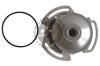 QUINTON HAZELL QCP986 Water Pump
