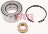 FAG 713640040 Wheel Bearing Kit