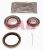 FAG 713619300 Wheel Bearing Kit