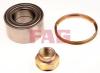 FAG 713606160 Wheel Bearing Kit