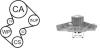 AIRTEX WPK-169101 (WPK169101) Water Pump & Timing Belt Kit