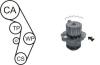 AIRTEX WPK-177603 (WPK177603) Water Pump & Timing Belt Kit