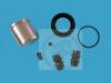 AUTOFREN SEINSA D41081C Repair Kit, brake caliper