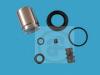 AUTOFREN SEINSA D41382C Repair Kit, brake caliper