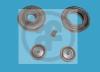 AUTOFREN SEINSA D3402 Repair Kit, wheel brake cylinder