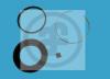 AUTOFREN SEINSA D4159 Repair Kit, brake caliper