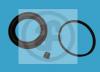 AUTOFREN SEINSA D4207 Repair Kit, brake caliper