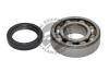 QUINTON HAZELL QWB193C Wheel Bearing Kit