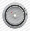 SNR DPF355.00 (DPF35500) Belt Pulley, crankshaft