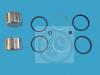 AUTOFREN SEINSA D41385C Repair Kit, brake caliper