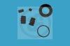 AUTOFREN SEINSA D4916 Repair Kit, brake caliper
