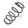 ASAM 30436 Coil Spring