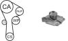 AIRTEX WPK-166801 (WPK166801) Water Pump & Timing Belt Kit