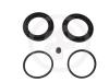 AUTOFREN SEINSA D4109 Repair Kit, brake caliper