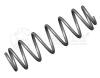 MEYLE 1007390013 Coil Spring