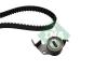 INA 530030210 Timing Belt Kit