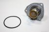 AUTOMEGA 1013380049 Thermostat, coolant