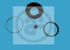 AUTOFREN SEINSA D4233 Repair Kit, brake caliper