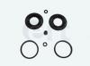 ERT 400695 Repair Kit, brake caliper