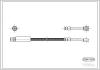 CORTECO 19031681 Brake Hose