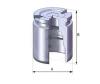 AUTOFREN SEINSA D02519 Piston, brake caliper