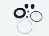 ERT 400748 Repair Kit, brake caliper