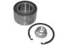 NK 753219 Wheel Bearing Kit