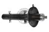QUINTON HAZELL 178690 Shock Absorber