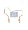 DT 2.10059 (210059) Gasket, timing case