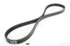 JAPANPARTS TV-800 (TV800) V-Ribbed Belts