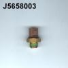 NIPPARTS J5658003 Temperature Switch, radiator fan
