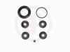 AUTOFREN SEINSA D4171 Repair Kit, brake caliper