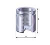 AUTOFREN SEINSA D02520 Piston, brake caliper