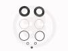 AUTOFREN SEINSA D4258 Repair Kit, brake caliper