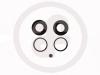 AUTOFREN SEINSA D4303 Repair Kit, brake caliper