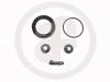 AUTOFREN SEINSA D4345 Repair Kit, brake caliper