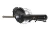 QUINTON HAZELL 178925 Shock Absorber